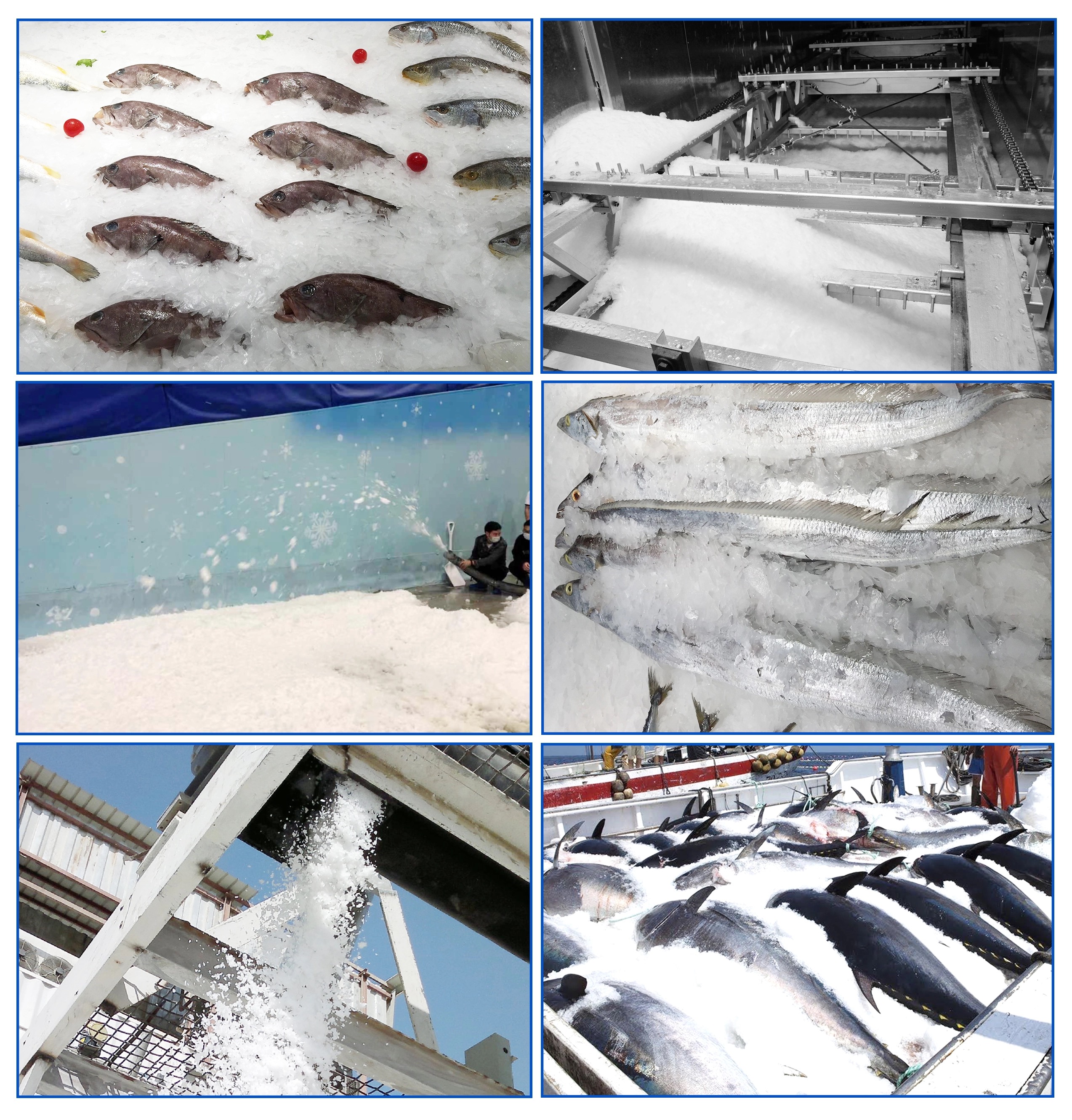 Flake ice applications in seafood processing lines and fresh fish displays providing uniform surface contact without causing mechanical tissue damage.