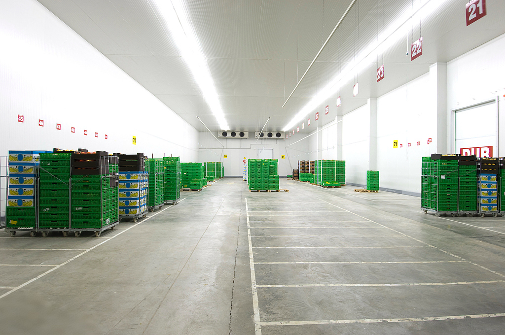 Custom industrial walk-in cooler featuring high-density polyurethane panels and a remote refrigeration system for commercial inventory management.