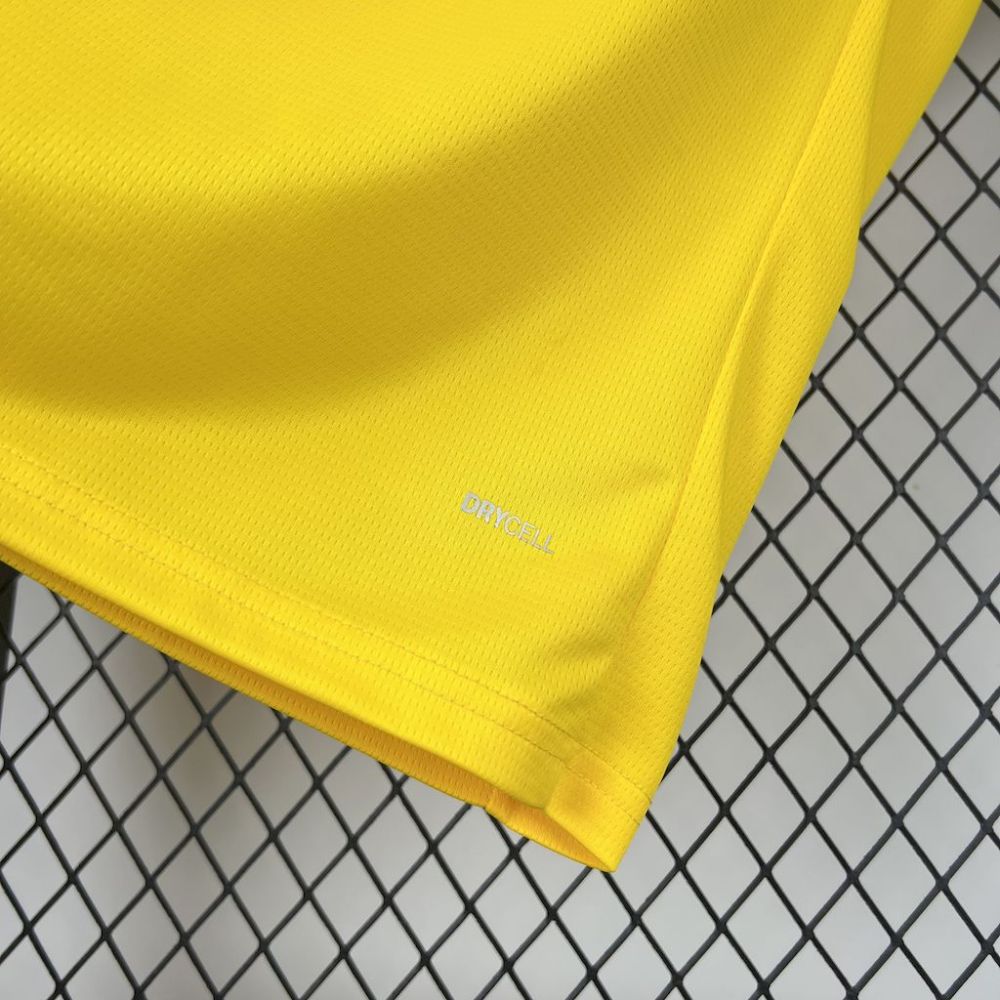 Dortmund 25/26 home kit fan version