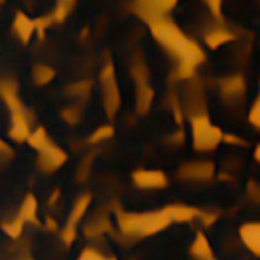 C2 TORTOISESHELL