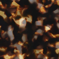 C2 TORTOISESHELL