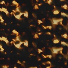 C2 TORTOISESHELL