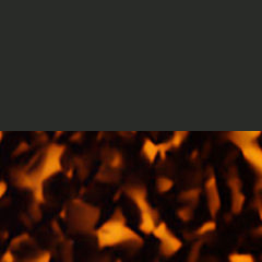 C4 BLACK TORTOISESHELL