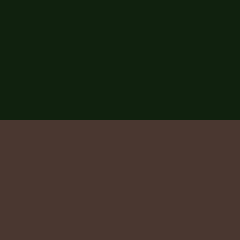 C4 GREEN BROWN