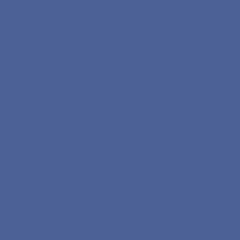 C5 BLUE