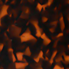 C2 BLACK TORTOISESHELL