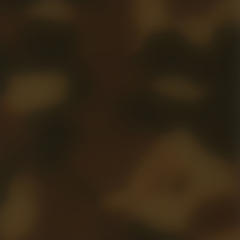 C4 BROWN TORTOISESHELL