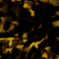 C2 TORTOISESHELL