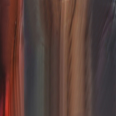 C2 RED TORTOISESHELL
