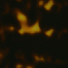 C2 TORTOISESHELL