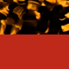 C1 TORTOISESHELL / RED