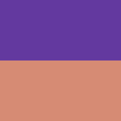 C4 TRANSPARENT PURPLE / CORAL PINK