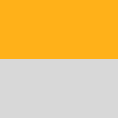 C1 LEMON YELLOW / GRAY