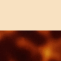 C1 GOLDEN TORTOISESHELL