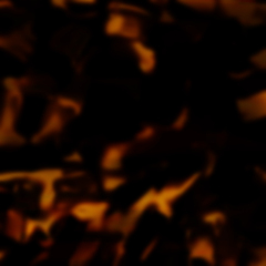 C2 TORTOISESHELL