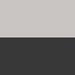 C2 SILVER