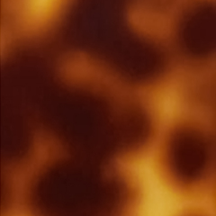 C4 TORTOISESHELL