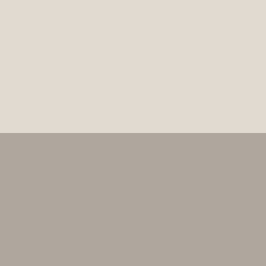 C4 SILVERY