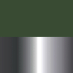C3 GREEN GUN
