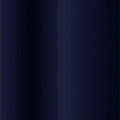 C4 BLACK BLUE