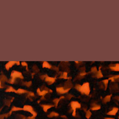 C2 BROWN TORTOISESHELL