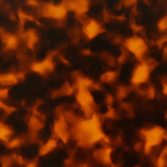 C2 TORTOISESHELL