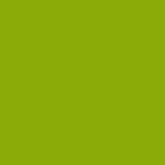 C4 GREEN / PINK