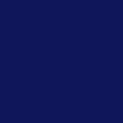 C2 DARK BLUE / RED