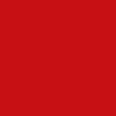 C2 RED PINK / GOLD