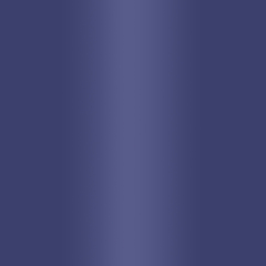 C4 BLUE GUN