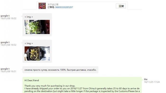 Fresh Rare Adenium Obesum Desert Rose Seeds