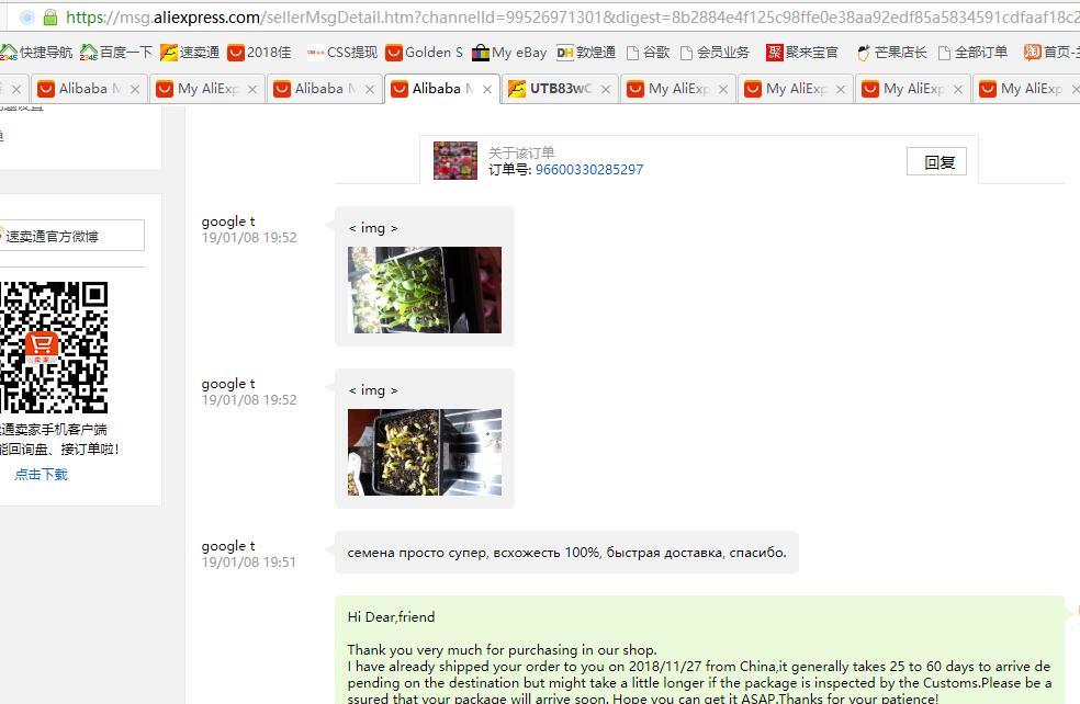 Fresh Rare Adenium Obesum Desert Rose Seeds