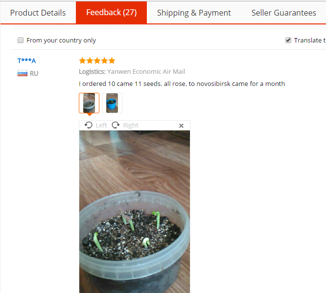 Fresh Rare Adenium Obesum Desert Rose Seeds