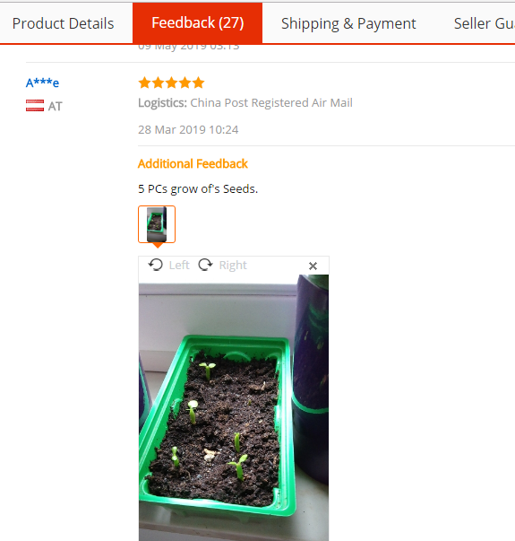 Fresh Rare Adenium Obesum Desert Rose Seeds