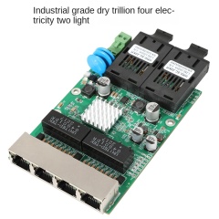Gigabit with Two Fiber and Four Electrical Ports