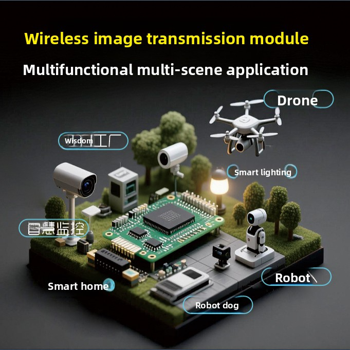 Wireless video transmission module