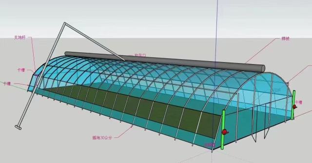 Customizable Farm Greenhouses - Ideal for Vegetable Growing & Poultry/Livestock Breeding