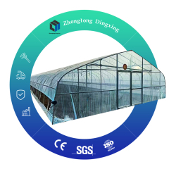 Customizable Farm Greenhouses - Ideal for Vegetable Growing & Poultry/Livestock Breeding