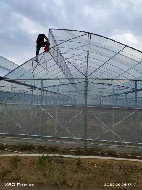 Customizable Farm Greenhouses - Ideal for Vegetable Growing & Poultry/Livestock Breeding