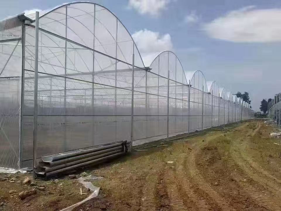 Customizable Farm Greenhouses - Ideal for Vegetable Growing & Poultry/Livestock Breeding