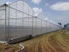 Customizable Farm Greenhouses - Ideal for Vegetable Growing & Poultry/Livestock Breeding