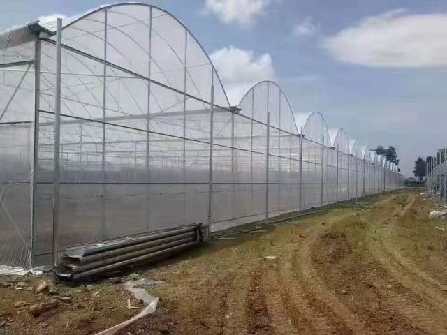 Customizable Farm Greenhouses - Ideal for Vegetable Growing & Poultry/Livestock Breeding