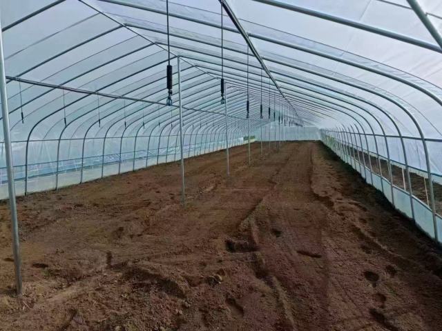 Customizable Farm Greenhouses - Ideal for Vegetable Growing & Poultry/Livestock Breeding