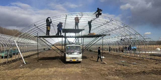 Customizable Farm Greenhouses - Ideal for Vegetable Growing & Poultry/Livestock Breeding