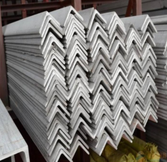 Stainless Steel Angle