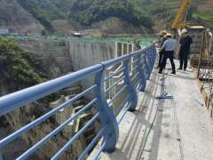 Bridge guardrail