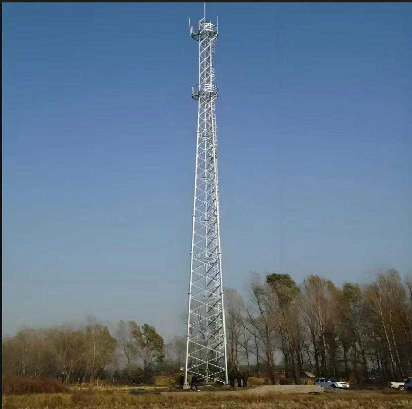 Signal tower (communication tower)