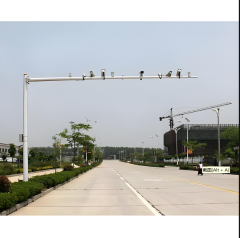 Traffic monitoring pole