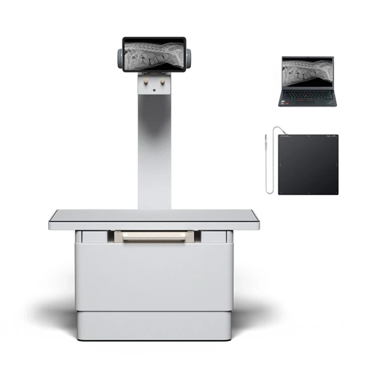 Veterinary X Ray Machine | Veterinary X-Rays