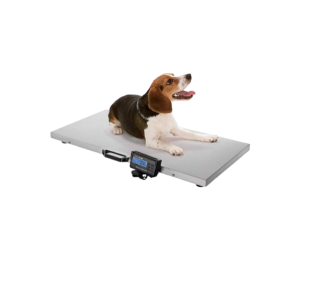 Veterinary Scale